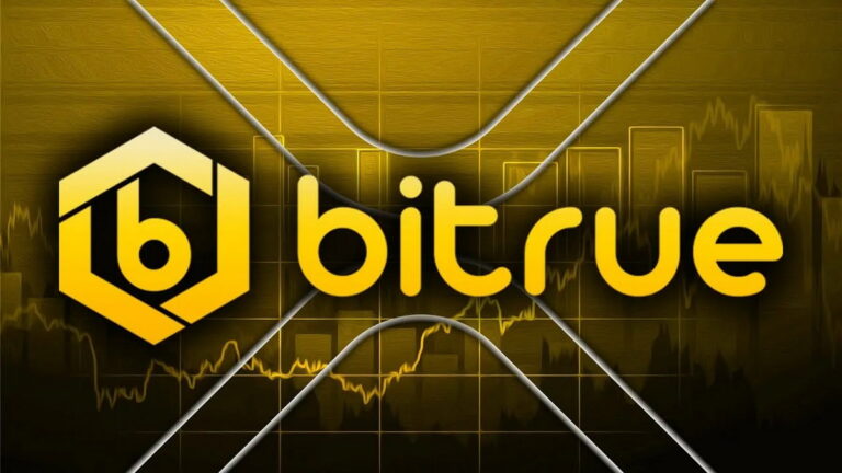 Возможности инвестиций и заработка на бирже Bitrue
